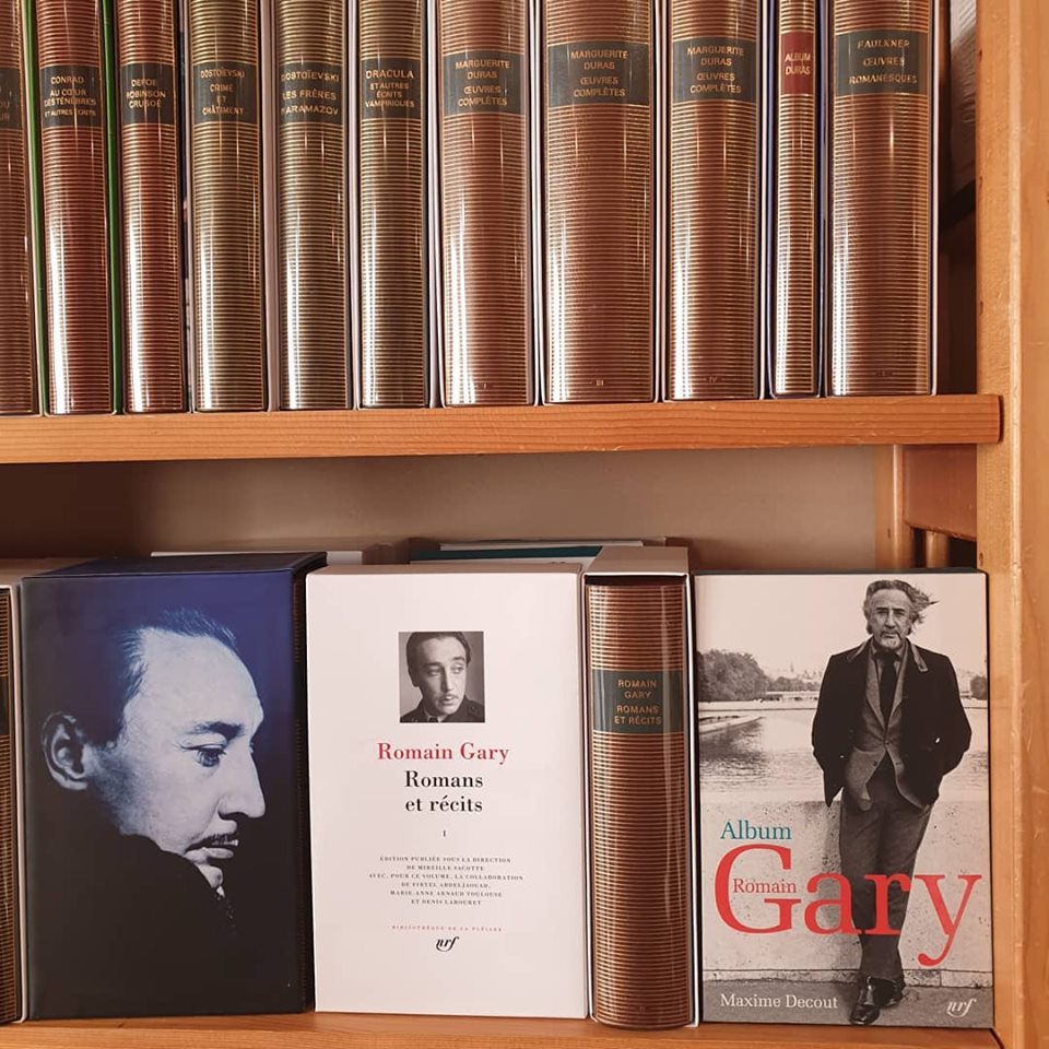 French books to read practice Romain Gary
